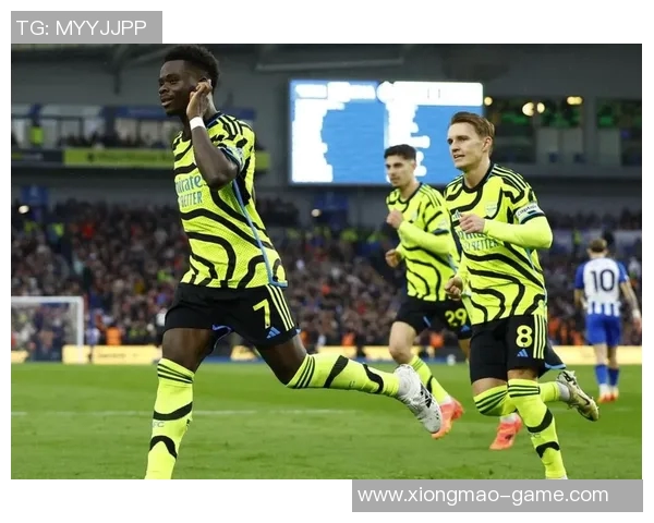 2021英超-英超风云，2021赛季的激情与挑战-2021英超